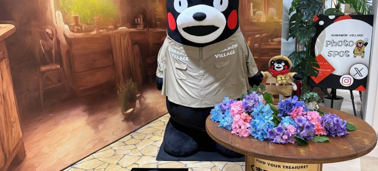 AMANEK 熊本(HOTEL AMANEK Kumamoto)图片