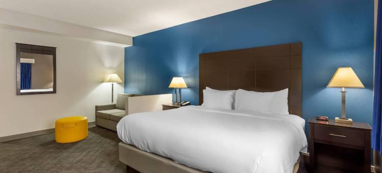 曼德林 - 弗农希尔斯舒适套房酒店(Comfort Inn & Suites Mundelein-Vernon Hills)图片