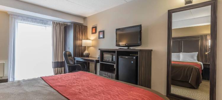 特伦顿舒适酒店(Comfort Inn Trenton)图片