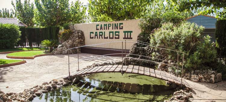 卡洛斯三世露营酒店(Camping Carlos III)图片