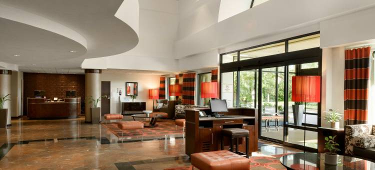 奥兰多机场喜来登套房酒店(Sheraton Suites Orlando Airport)图片
