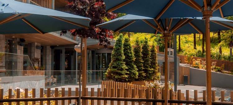 瑞士酒店布拉索夫波亚纳(Swissôtel Poiana Brasov)图片