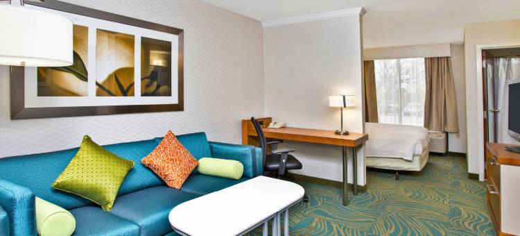 芝加哥西南布尔里奇/欣斯代尔SpringHill Suites 酒店(SpringHill Suites by Marriott Chicago Southwest at Burr Ridge/Hinsdale)图片