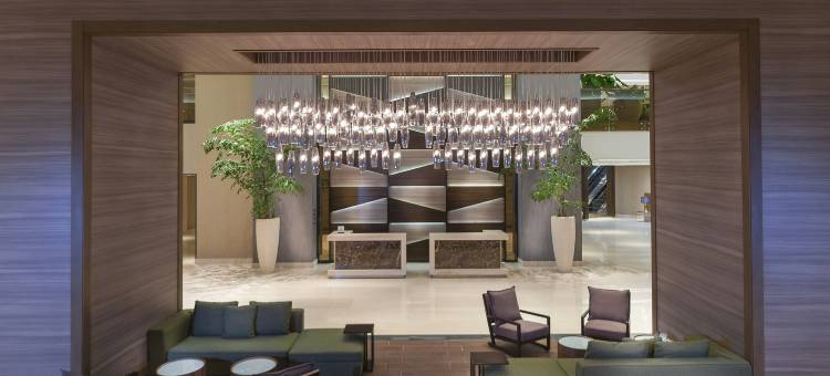 圣多明戈希尔顿安泊酒店(Embassy Suites by Hilton Santo Domingo)图片