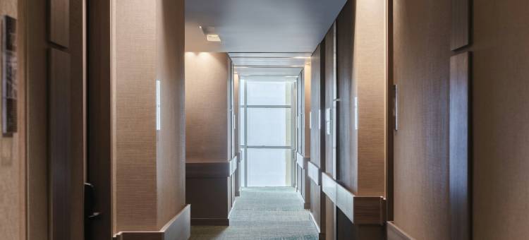 巴兰基亚欢朋酒店(Hampton Inn by Hilton Barranquilla)图片