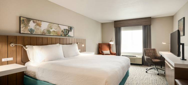 迪比克市区希尔顿花园旅馆(Hilton Garden Inn Dubuque Downtown)图片
