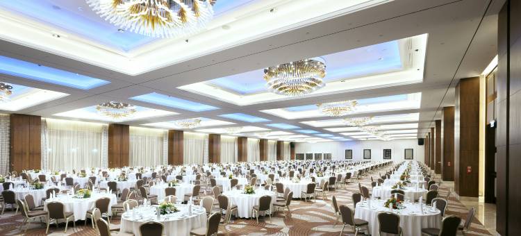 华沙希尔顿逸林酒店及会议中心(DoubleTree by Hilton Hotel & Conference Centre Warsaw)图片