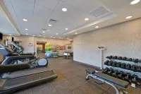 鳳凰城巴克艾希爾頓惠庭酒店 - 宠物友好