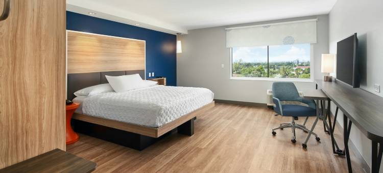 劳德代尔堡机场希尔顿 Tru(Tru by Hilton Ft. Lauderdale Airport)图片
