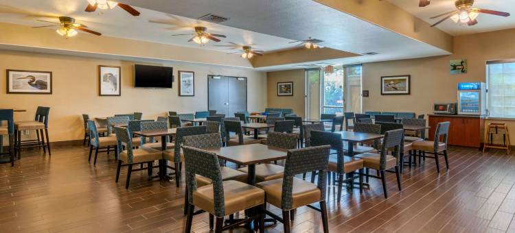 戈尔特-北洛迪舒适酒店(Comfort Inn & Suites Galt - Lodi North)图片