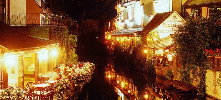 科尔玛中心诺富特全套房酒店(Novotel Suites Colmar Centre)图片