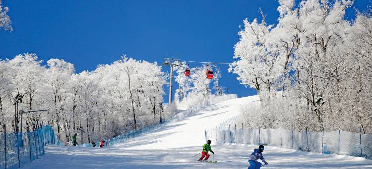 长白山万达智选假日酒店图片