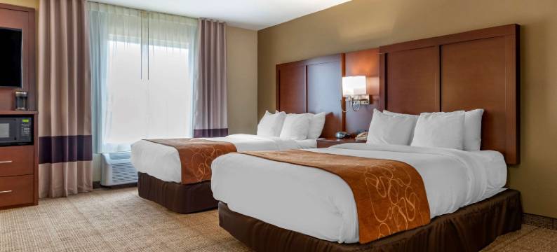 尼斯维尔埃格林空军基地附近舒适全套房酒店(Comfort Suites Niceville Near Eglin Air Force Base)图片