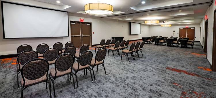 希尔顿花园酒店-亚特兰大南-麦克多诺(Hilton Garden Inn Atlanta South-McDonough)图片