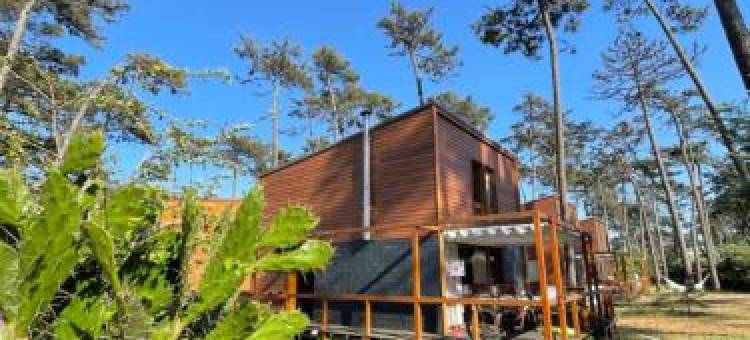 Bungalow B5 Ofir图片