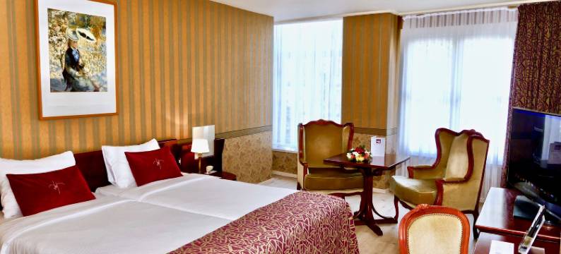 德美第奇金色郁金香酒店(Golden Tulip Hotel de Medici)图片