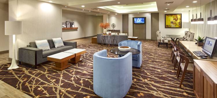 洛杉矶埃尔塞贡多希尔顿逸林酒店(DoubleTree by Hilton LAX - El Segundo)图片