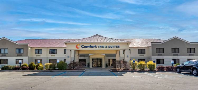 利兹I-20舒适套房酒店(Comfort Inn & Suites Leeds I-20)图片