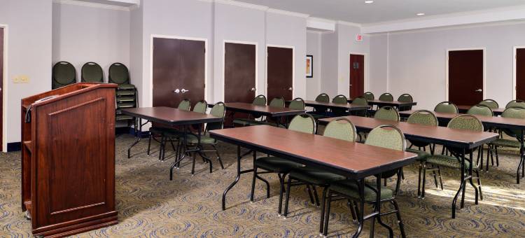 智选假日套房酒店南圣安东尼奥(Holiday Inn Express & Suites San Antonio South)图片