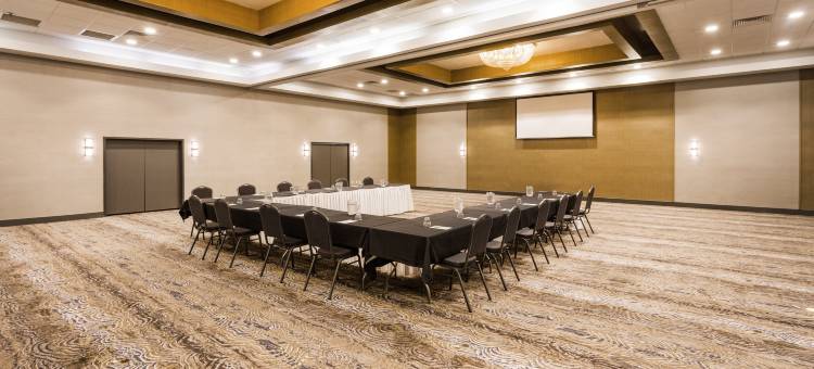 Holiday Inn 罗阿诺克 - 望谷(Holiday Inn Roanoke Airport-Conference Ctr)图片