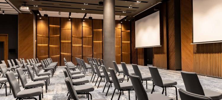 顿河畔罗斯托夫地平线丽笙酒店(Radisson Hotel Gorizont Rostov-on-Don)图片