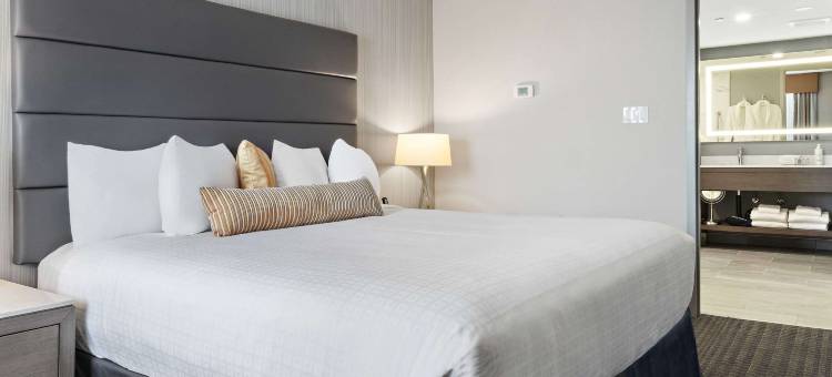 贝斯特韦斯特精品卡尔加里广场酒店暨会议中心(Best Western Premier Calgary Plaza Hotel & Conference Centre)图片