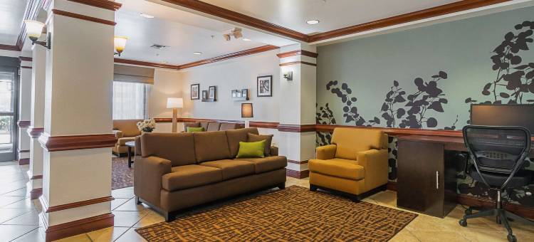 曼彻斯特舒眠酒店及套房(Sleep Inn & Suites)图片