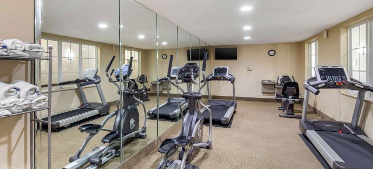 雪松山邓肯维尔舒适套房酒店(Comfort Inn & Suites Cedar Hill Duncanville)图片