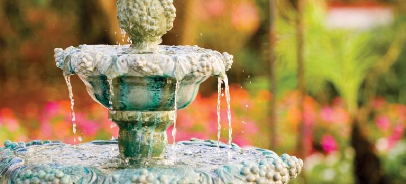 温德姆海洋花园酒店(Club Wyndham Sea Gardens)图片