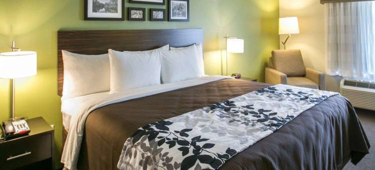 舒眠酒店及套房-圆石城-奥斯汀北部(Sleep Inn & Suites Round Rock - Austin North)图片