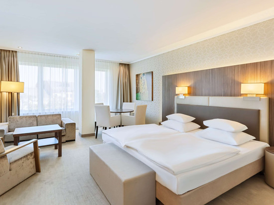 林茨席勒公园, 丽祺精选酒店