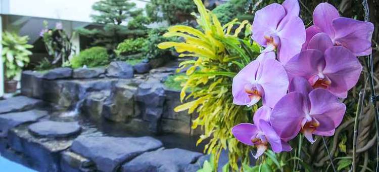 杜塔旅馆(Duta Guest House)图片