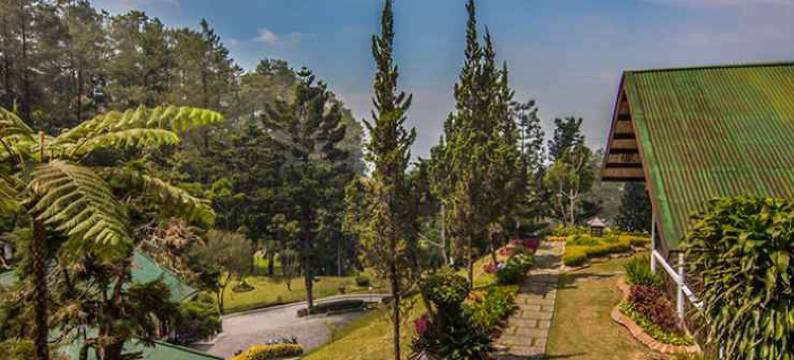 普卡帕斯假日公园(Puncak Pass Resort)图片