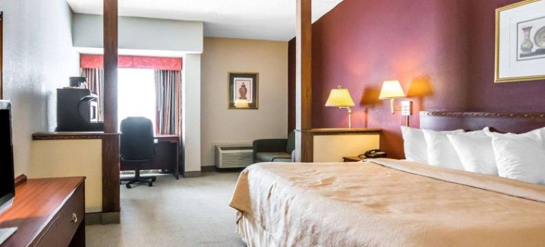 凯艺套房酒店(Quality Inn & Suites)图片