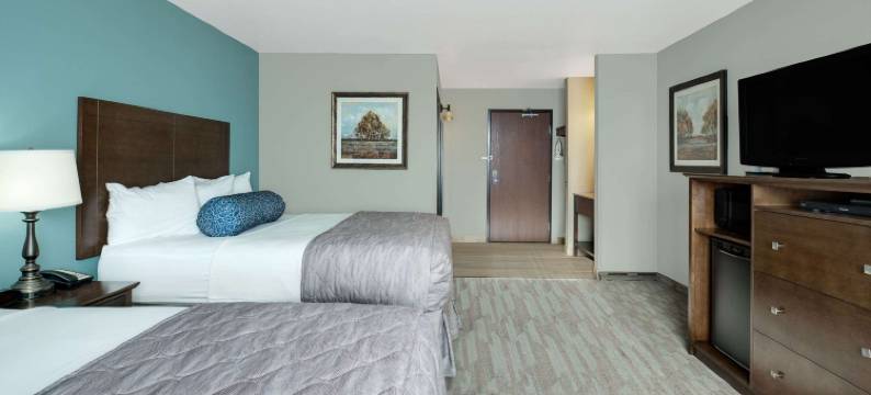 迈诺特呗盟套房酒店(Baymont by Wyndham Minot)图片