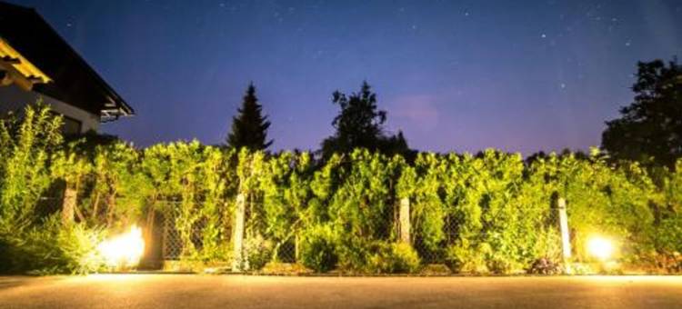 可皮克公寓客房(Rooms & Apartments Kepic, Airport Accommodation)图片