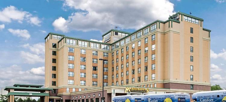 洛根国际机场舒适套房酒店(Comfort Inn & Suites Logan International Airport)图片