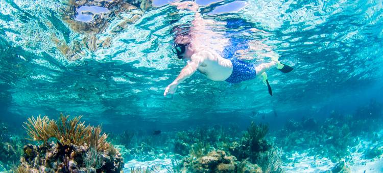 Holiday Inn Resort 开曼群岛(Holiday Inn Resort Grand Cayman)图片