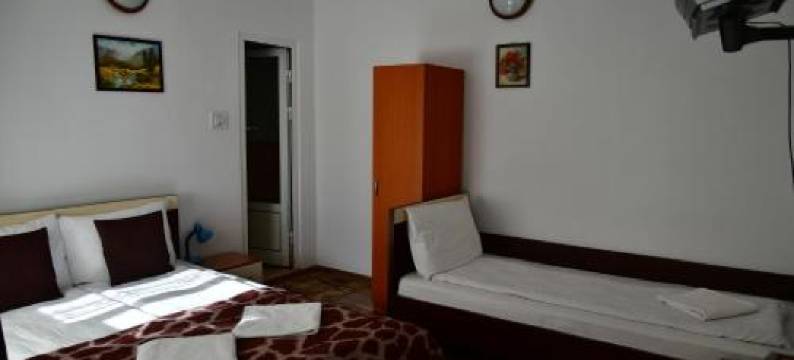 朋斯尼亚克里斯蒂娜帕维尔酒店(Pensiunea Cristina si Pavel)图片