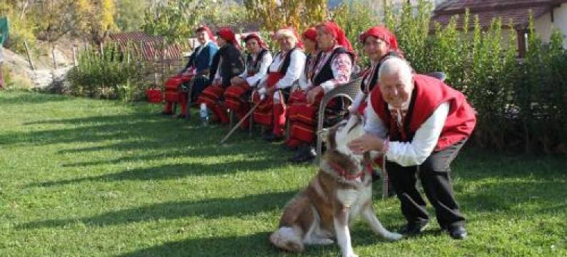 Eco Village under the Cliffs图片