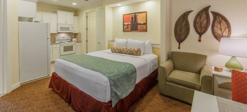 假日度假俱乐部别墅度假村(Holiday Inn Club Vacations VILLAGES RESORT LAKE PALESTINE by IHG)图片