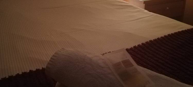 Logis Hôtel Restaurant Spa le Tosny图片