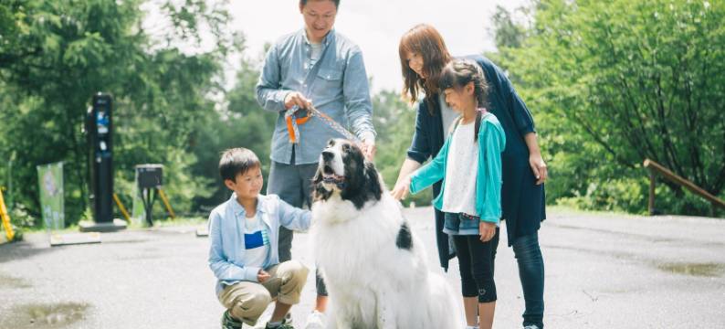 WAN WAN 宠物度假天堂 蓼科(Wan Wan Paradise Tateshina)图片