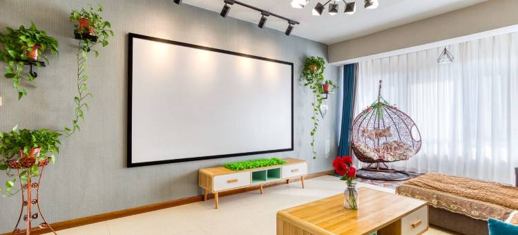 青林豪华民宿(文化路2号分店)图片