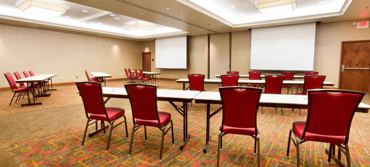 印第安纳波利斯-卡梅尔德鲁里广场酒店(Drury Plaza Hotel Indianapolis Carmel)图片