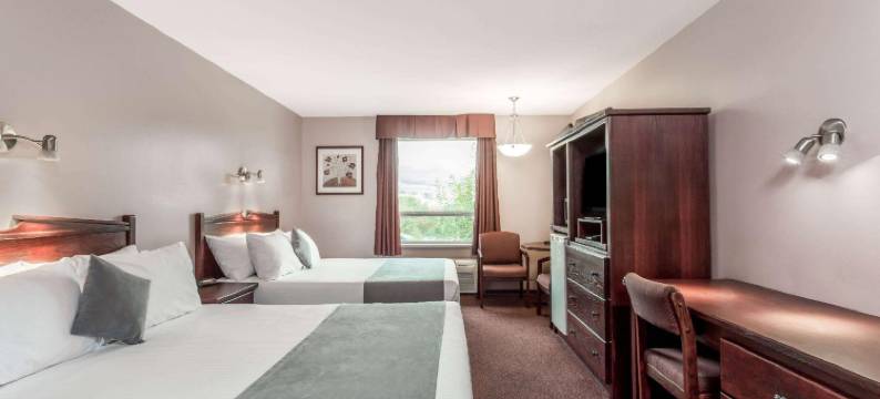 乡村湖-温菲尔德地区速8酒店(Super 8 by Wyndham Lake Country/Winfield Area)图片