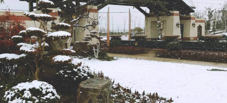 绿岛笙箫默公寓(新长公路1号分店)图片