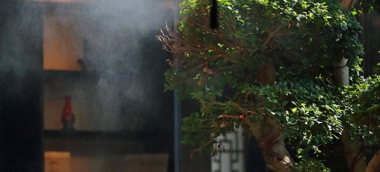 福州三坊七巷书香文儒酒店图片