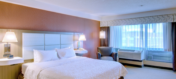 希尔顿欢朋套房酒店-波士顿市中心(Hampton Inn & Suites Boston Crosstown Center)图片