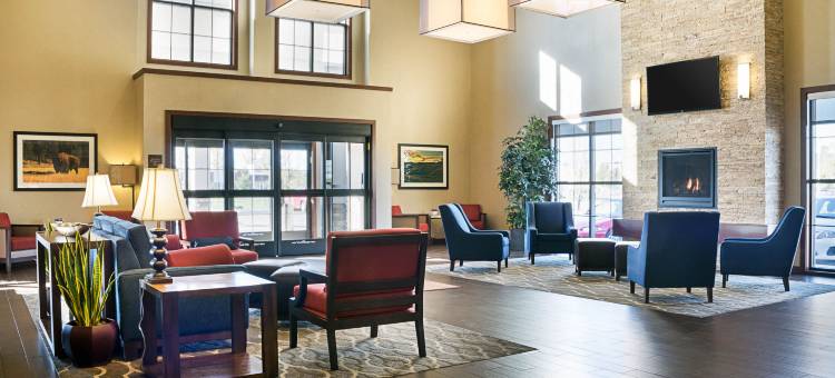 医疗中心舒适套房酒店(Comfort Suites Medical Center)图片